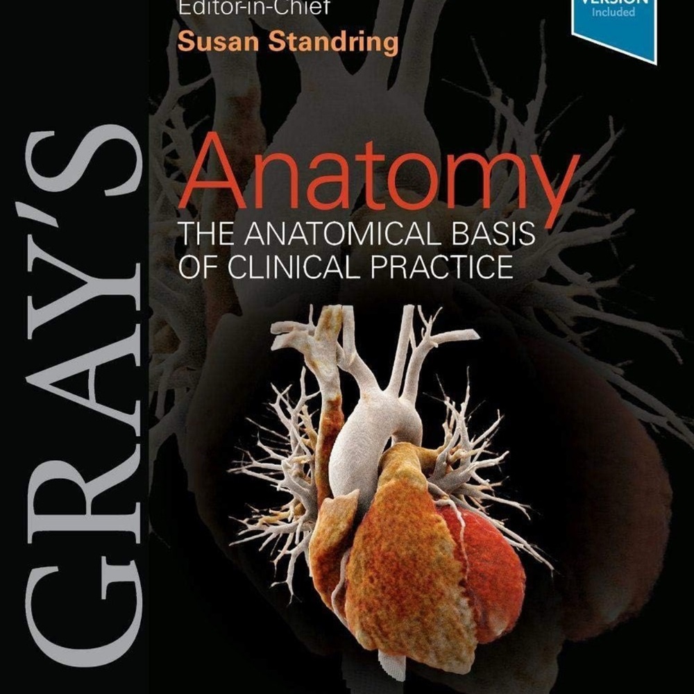 Gray’s Anatomy 42 Edition Book